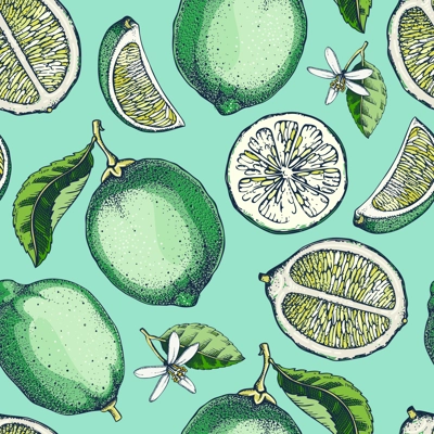 Lime fruit background. Citrus fruit sketches. Watercolor style botanical design. Exotic plants seamless pattern. Hand-drawn vector illustration. NOT AI generated